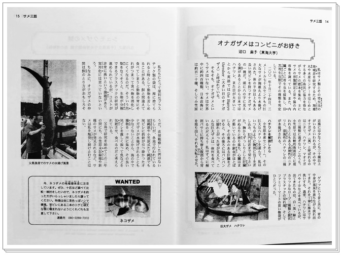 小笠原のサメと20年越しのご縁｜シャークジャーナリスト沼口麻子さんの挑戦を応援したい