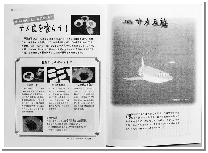 小笠原のサメと20年越しのご縁｜シャークジャーナリスト沼口麻子さんの挑戦を応援したい