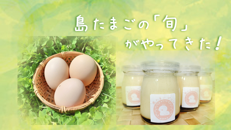 島たまごプリン