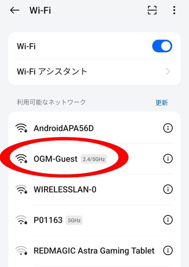 おがさわら丸 WiFi Starlink